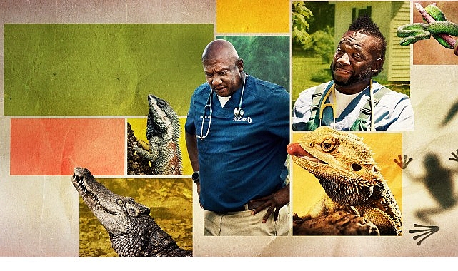 12 Bölümden Oluşan ‘Veteriner Dostlar’ın 5. Sezonu,   9 Şubat Pazartesi Saat 20.00’de   National Geographic WILD Ekranlarında Başlıyor!