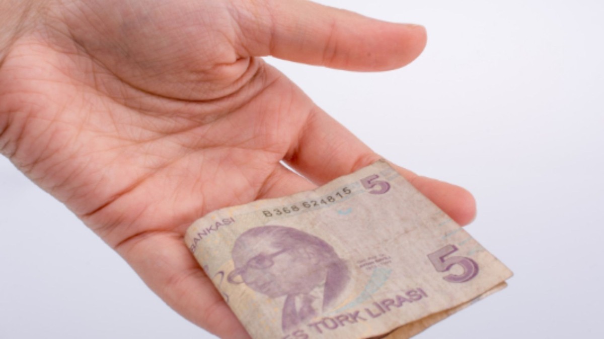 5 TL’nin arkasındaki isim: Ordinaryüs Profesör Aydın Sayılı kimdir, neden banknotta yer alıyor?