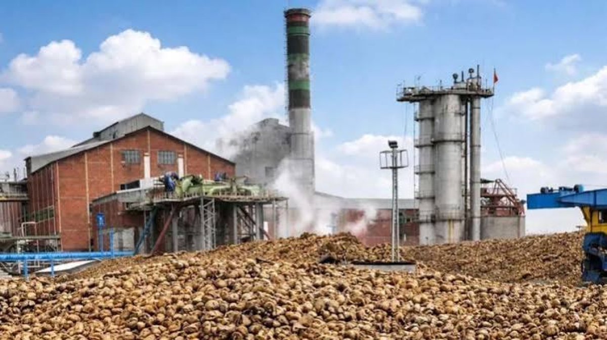 ADAPAZARI ŞEKER FABRIKASI SATIŞI VE PANCAR ÇİFTÇİSİNİN GELECEĞİ