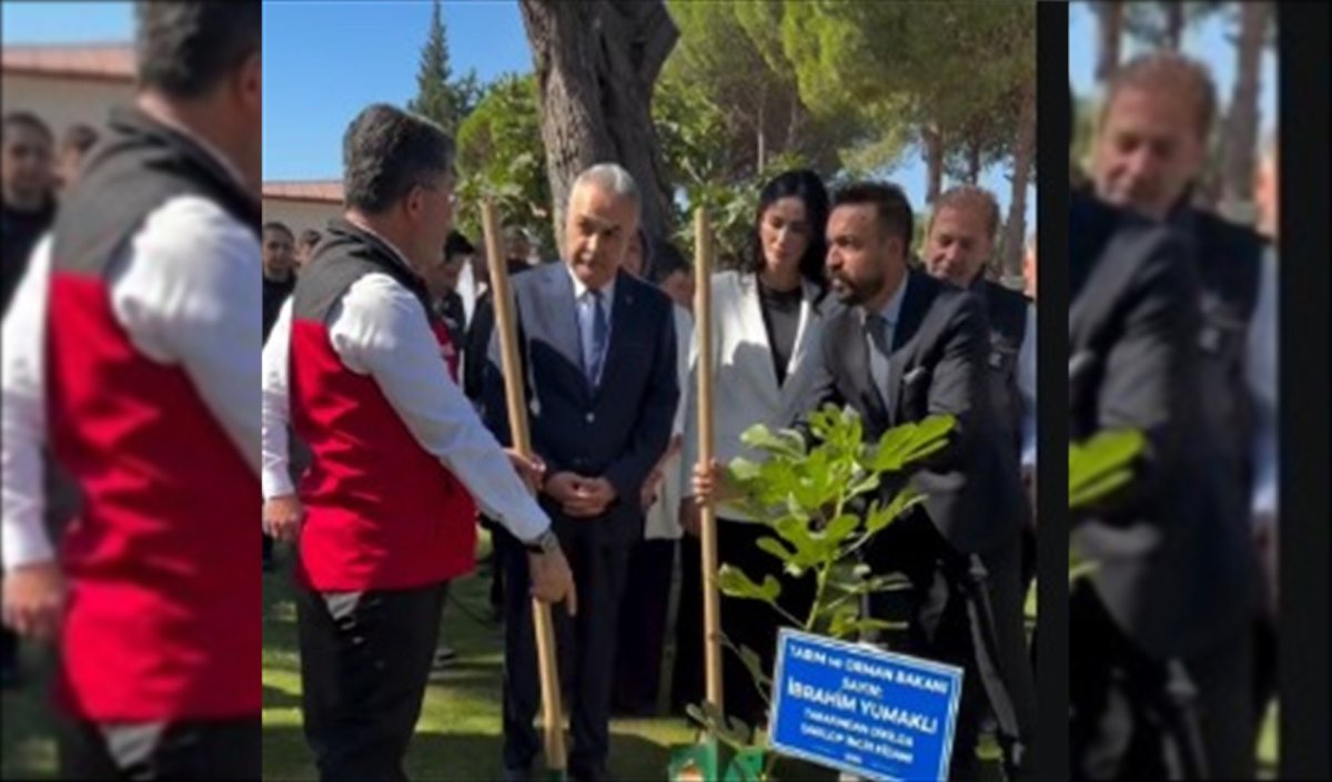 BAKAN YUMAKLININ SAKSILI FİDAN GÖRÜNTÜSÜNÜN FATURASI
