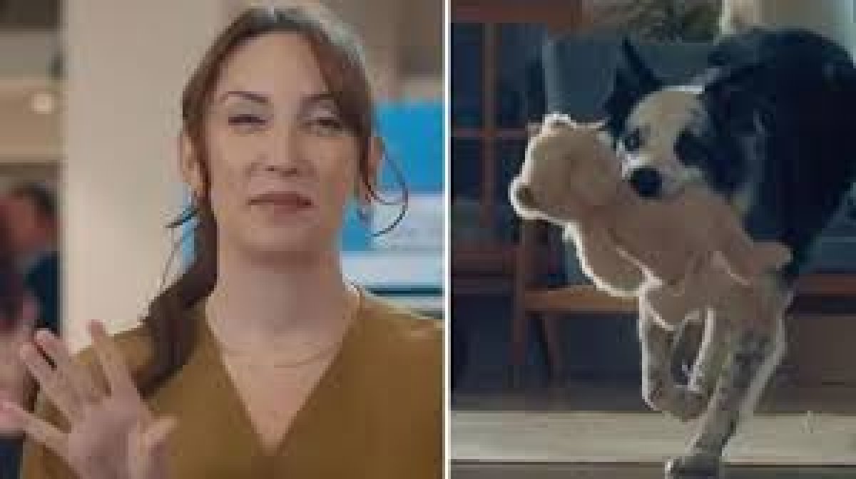 Bosch'un Anneler Günü Reklamı Krizi
