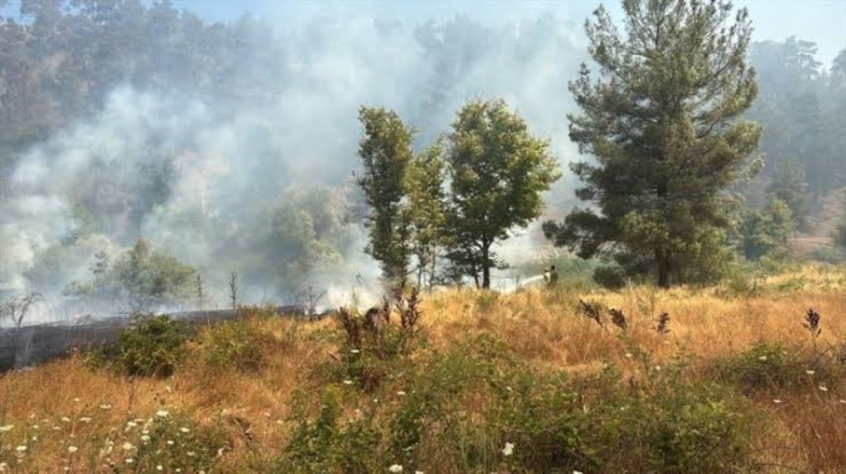 Bursa'da Tarım Arazisinden Başlayan Yangın Ormanlık Alana Sıçradı