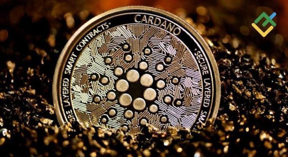 Cardano ADA Son Hafta Yükselmesinde Balina Birikimi ve Teknik Kırılma Beklentisi