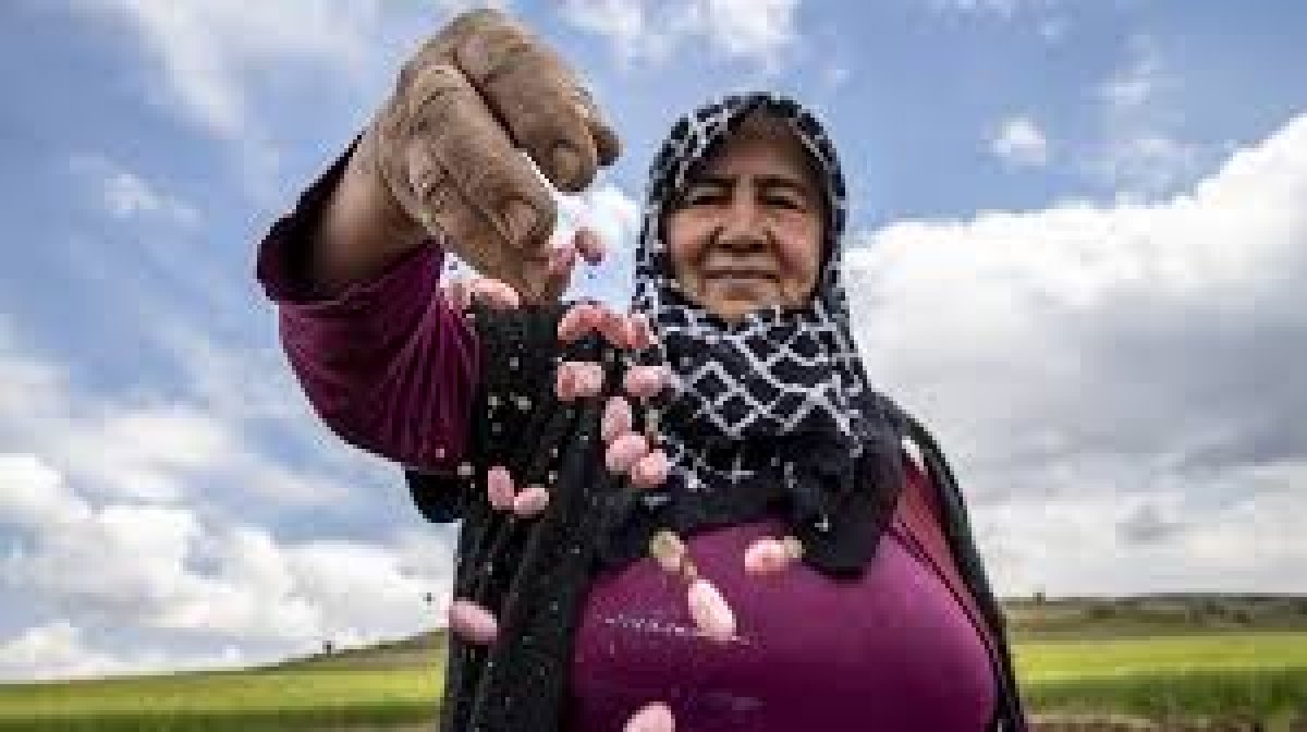 ÇİFTÇİ'NİN ÜMÜDÜ KIRIK