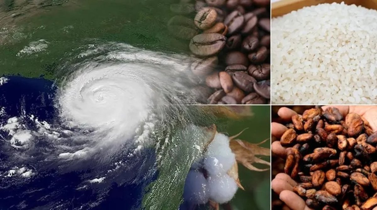 El Niño ve Pirinç Fiyatları Üzerindeki Etkileri
