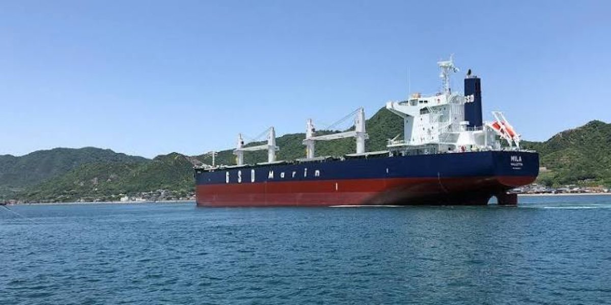 GSD Holding, Japon NSY Grubu'ndan 40 Bin 300 DWT'lik Kuru Yük Gemisi Satın Alacak