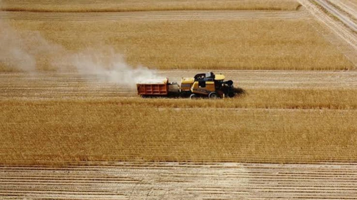 KKIRŞEHIR HAVZA DESTEKLERİ 2027: İLÇELERE GÖRE DESTEKLENEN ÜRÜNLER BELLİ OLDU