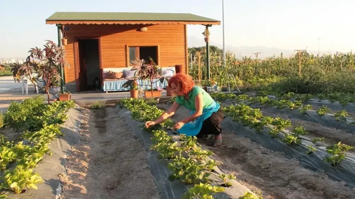 Kooperatiflerin tarım arazisi edinimine sınırlama getirildi