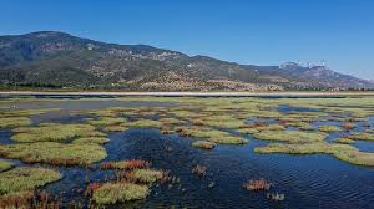 Milli Parklar Kanunu'nda Yapılan Düzenlemeler