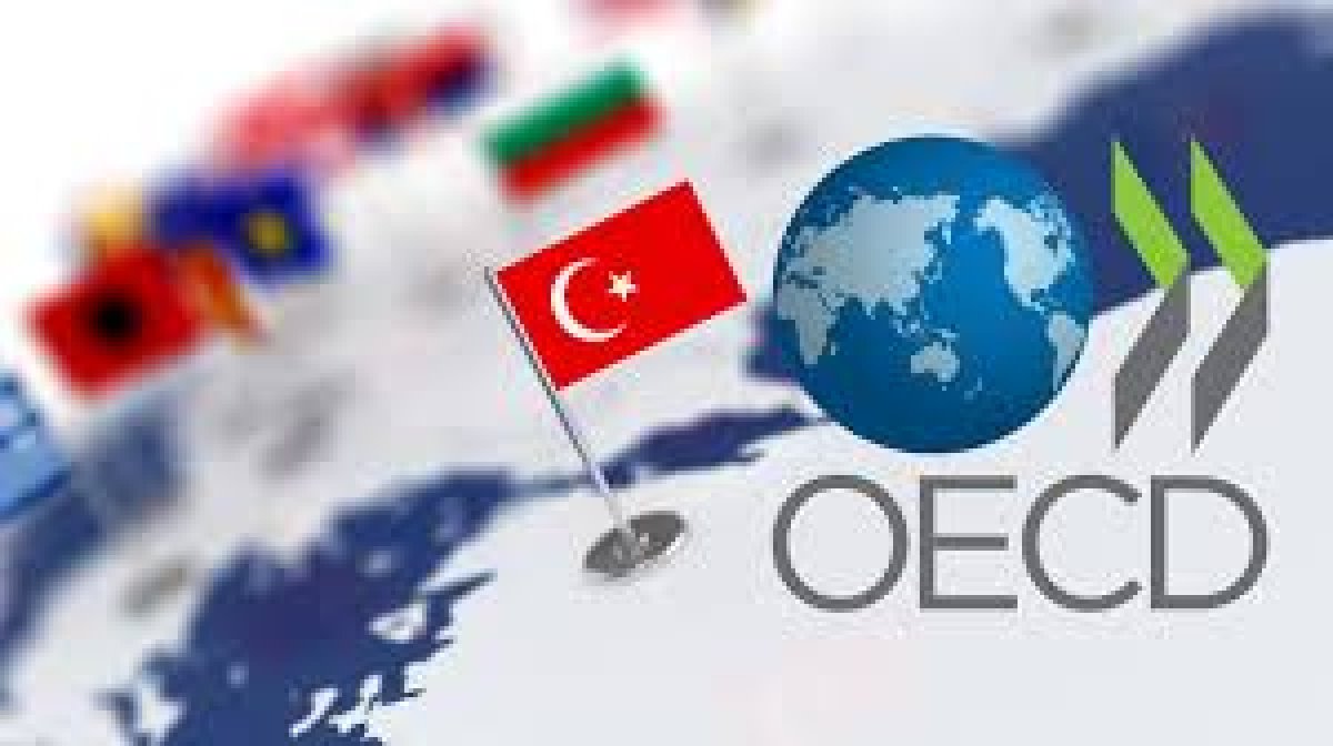 OECD, Orta Doğu'daki enerji şokları nedeniyle küresel ekonomik büyüme tahminlerini aşağı yönlü revize etti.