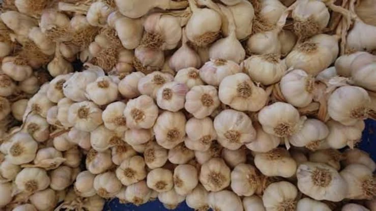Sarımsak Piyasasında Fiyat Makası Açıldı