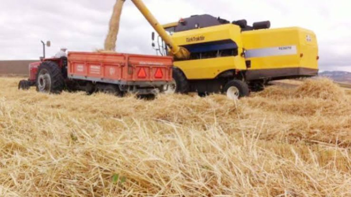 TMO önündeki kuyruklar tüccarı kazandırdı! Buğday, arpa fiyatı neden düştü?