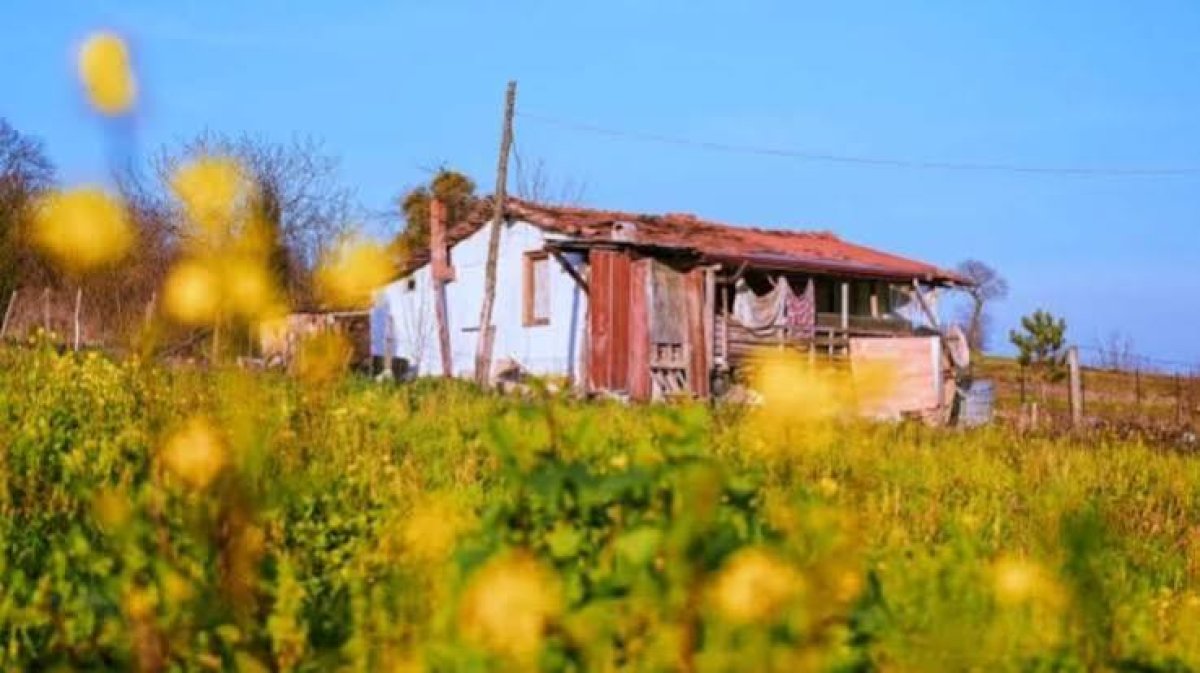 Tarım Arazilerinde Bağ Evi Şartı Değişti: 5 Hektar Sınırı 2 Hektara İndirildi