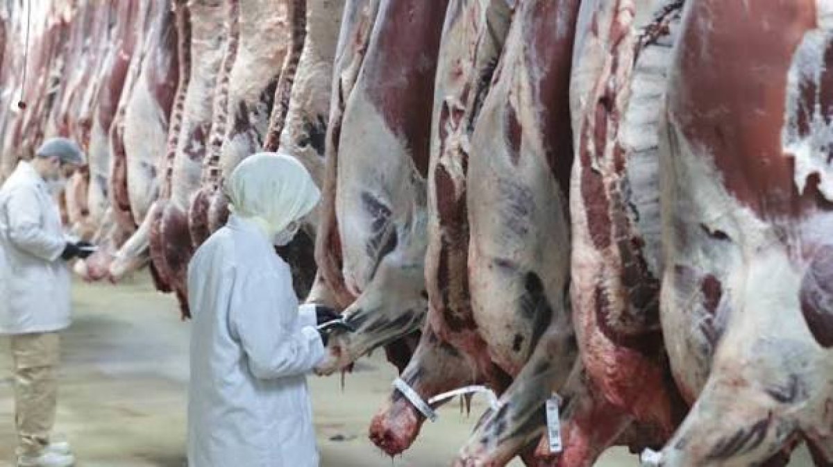 Tarım Bakanlığı'nın Et Fiyatları Operasyonu Üzerine Sorular