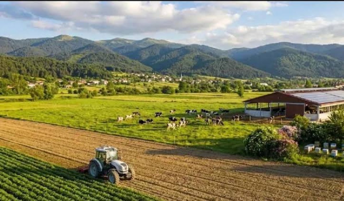 Tarım Desteklerindeki Artışa Eleştiri: Asıl Mesele Fiyat ve Piyasa Düzenlemesi