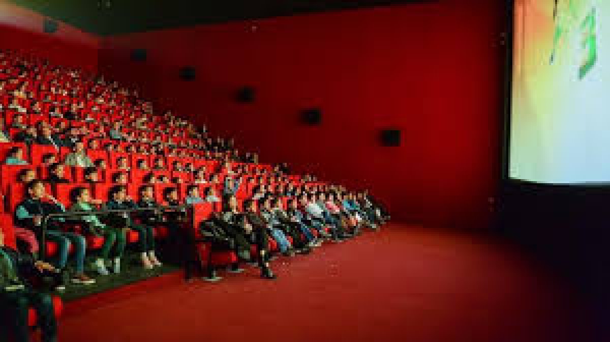 Türkiye'de Sinema ve Tiyatro Seyirci Sayıları