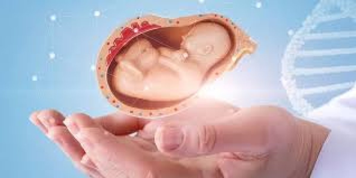 Türkiye'de Tüp Bebek Tedavisinde Yeni Düzenlemeler