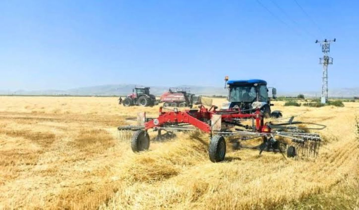 Türkiye'de bu yıl hububat üretiminde tarihi bir rekor beklenmesine rağmen, Karadeniz'deki güvenlik sorunları yem sektörünü ciddi şekilde etkilemeye başladı