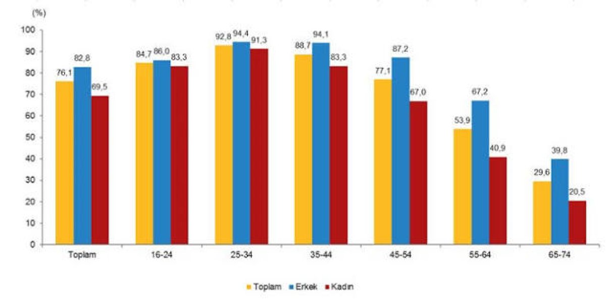 Türkiye İstatistik Kurumu (TÜİK) Zaman Kullanım Araştırması 2025 Verileri