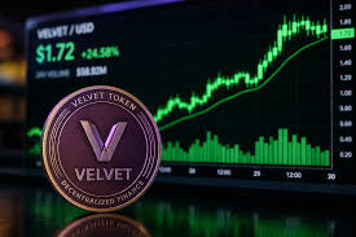 VELVET Fiyat Analizi ve Piyasa Durumu