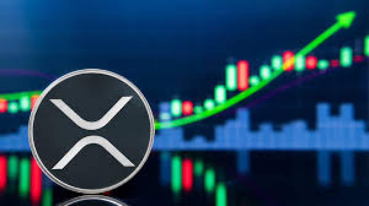 XRP Piyasa Analizi