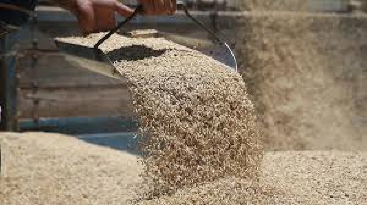 Ocak 2026 Hububat Piyasası Fiyatları