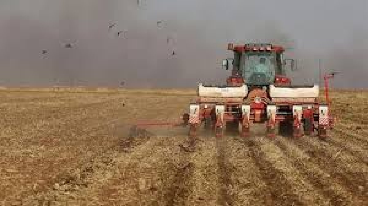 Ankara Tarımsal Yatırım Üssü Oluyor: 2025 Tarımsal Yatırım Rehberi