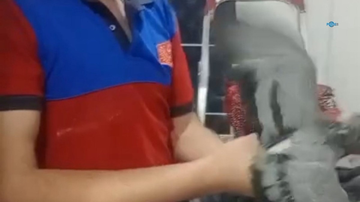 Havalandırma boşluğuna düşen güvercini itfaiye kurtardı  - Videolu Haber