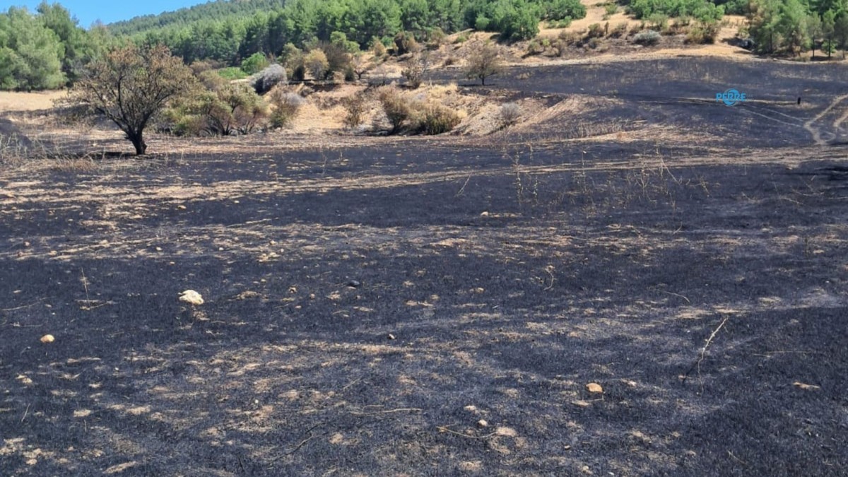 İpekli Köyü Derneği’nden yangın açıklaması: 'Doğamızı korumak hepimizin ortak sorumluluğudur'