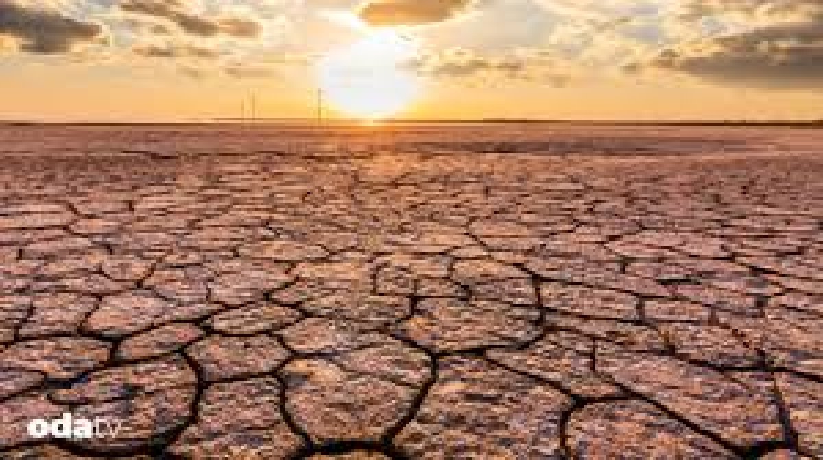 İklim Değişikliği ve Gıda Güvenliği: COP31 Öncesi Değerlendirmeler