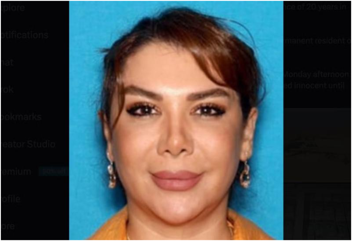 İranlı İş Kadını Şamim Mafi'nin Gözaltına Alınması